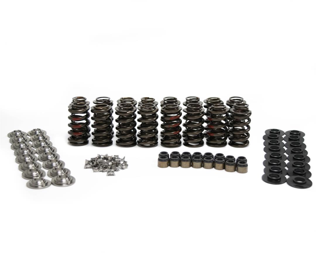 Brian Tooley Racing SK002/2060/BB BTR Platinum Valve Spring Kits