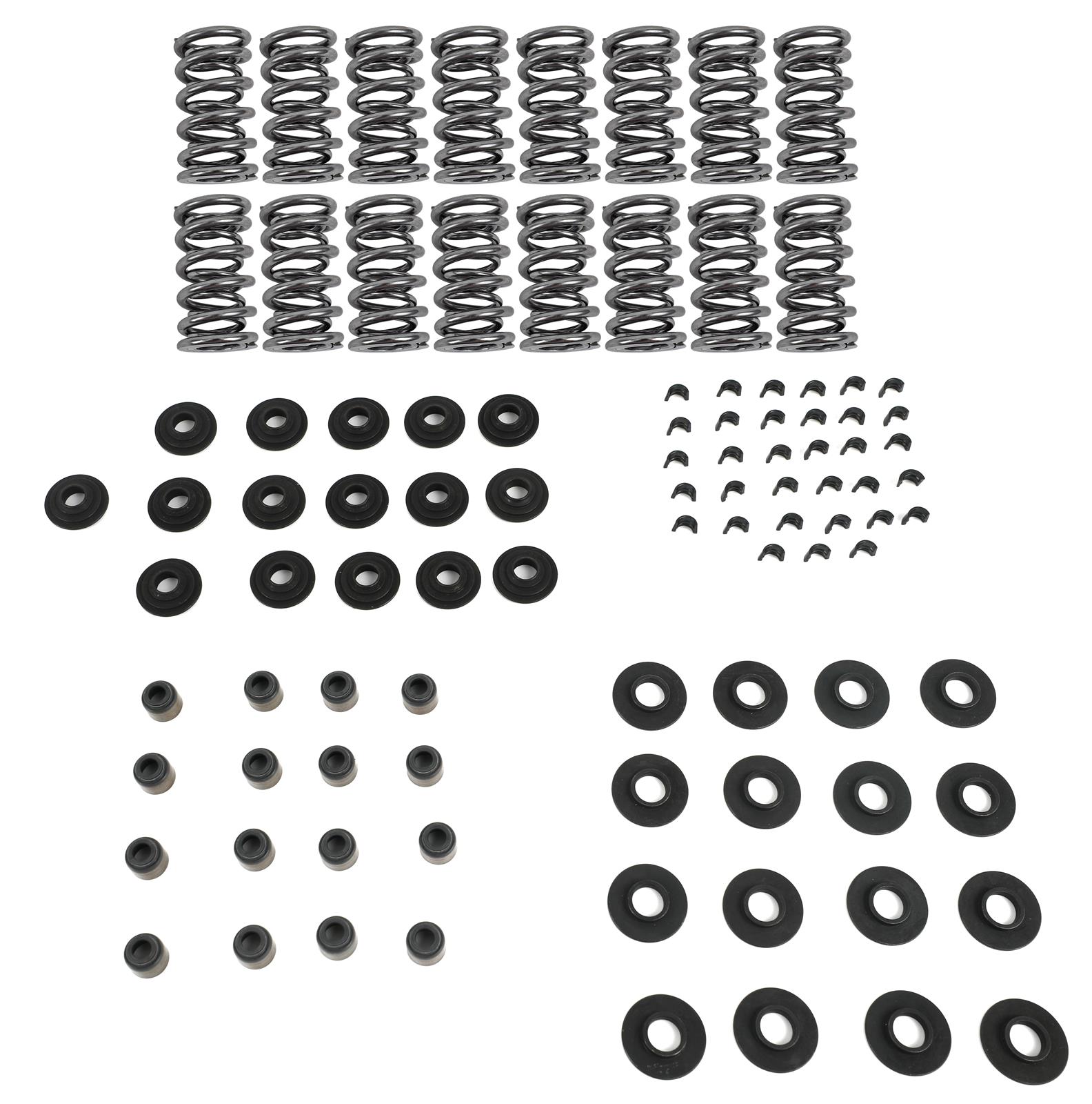 Brian Tooley Racing SK003/S/0560/BB BTR Platinum Valve Spring Kits