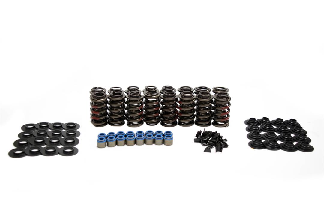 Brian Tooley Racing SK004/S/6560 BTR Platinum Valve Spring Kits