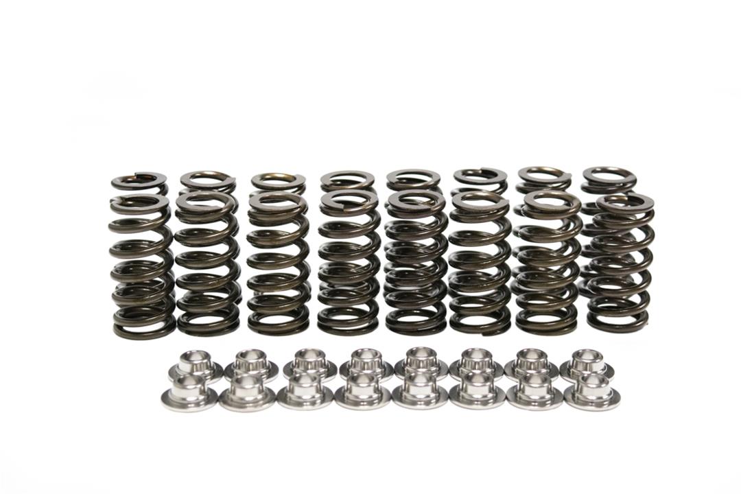 Brian Tooley Racing SK009 BTR Extreme Valve Spring Kits Summit Racing