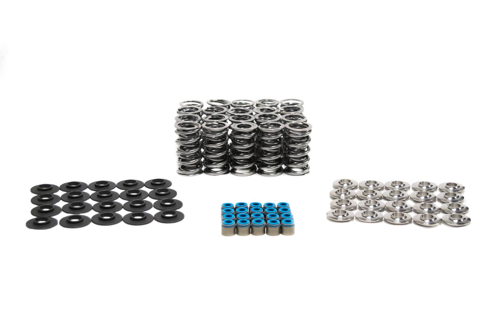 Brian Tooley Racing SK011/VSLS BTR Platinum Valve Spring Kits Summit