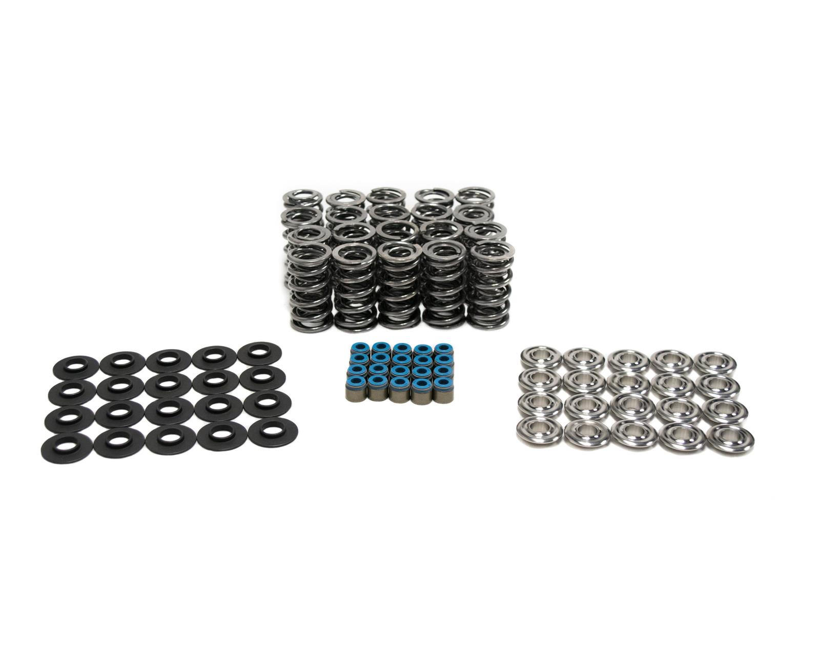 Brian Tooley Racing SK012/VSLS BTR Platinum Valve Spring Kits Summit