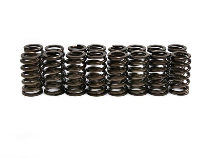 Brian Tooley Racing SP00516 BTR Beehive Valve Springs Summit Racing