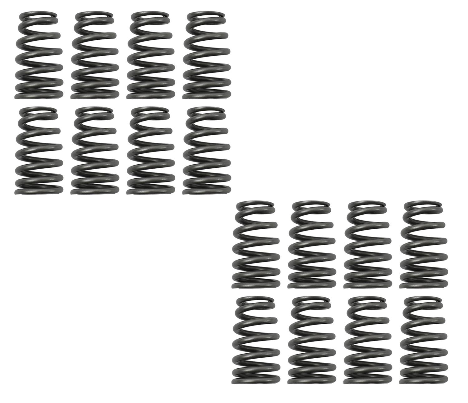 Brian Tooley Racing SP01116 BTR Beehive Valve Springs Summit Racing