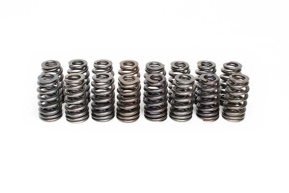 Brian Tooley Racing SP10016 BTR Beehive Valve Springs Summit Racing