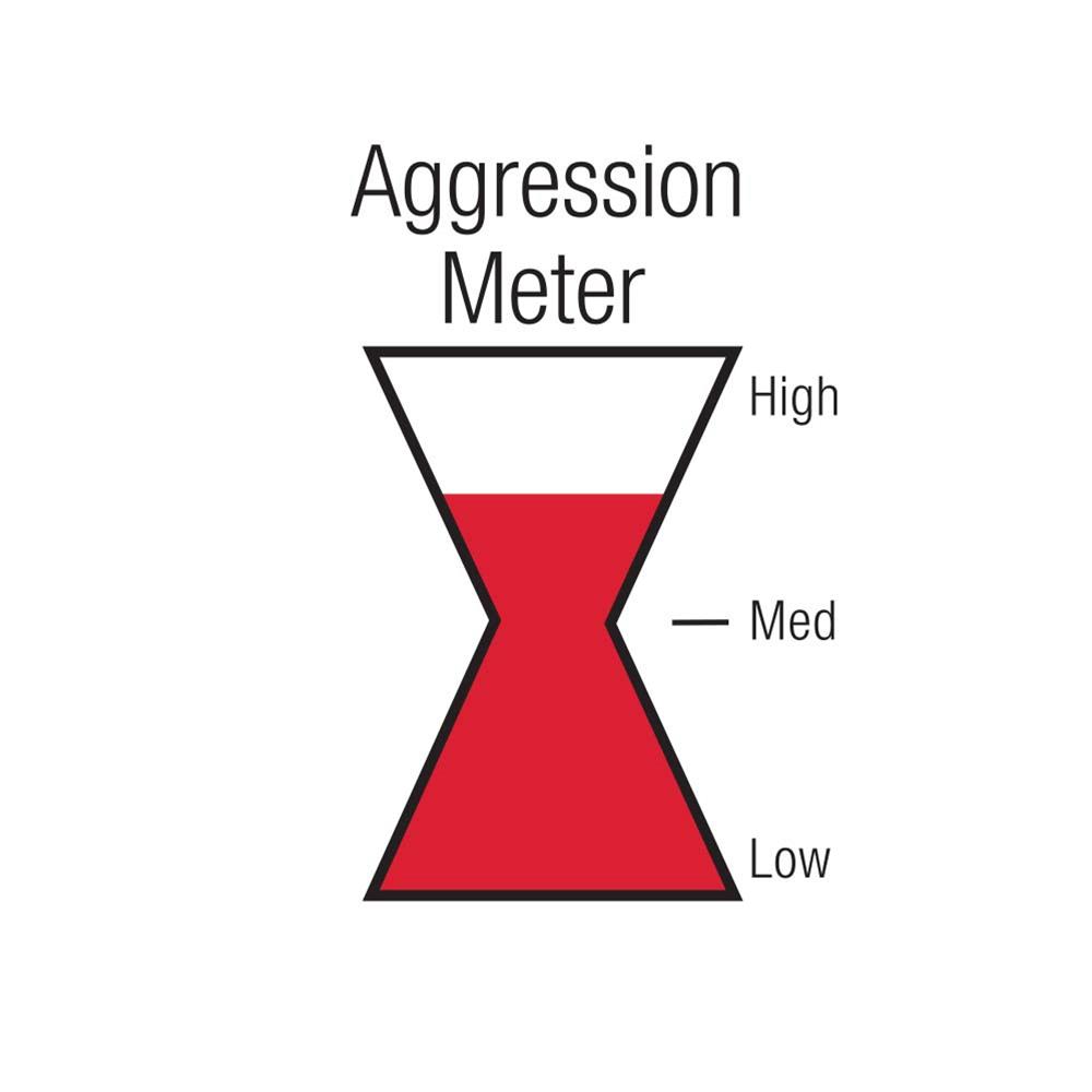 Black Widow Exhaust BWDDV233 Black Widow Exhaust Venom 250 Series