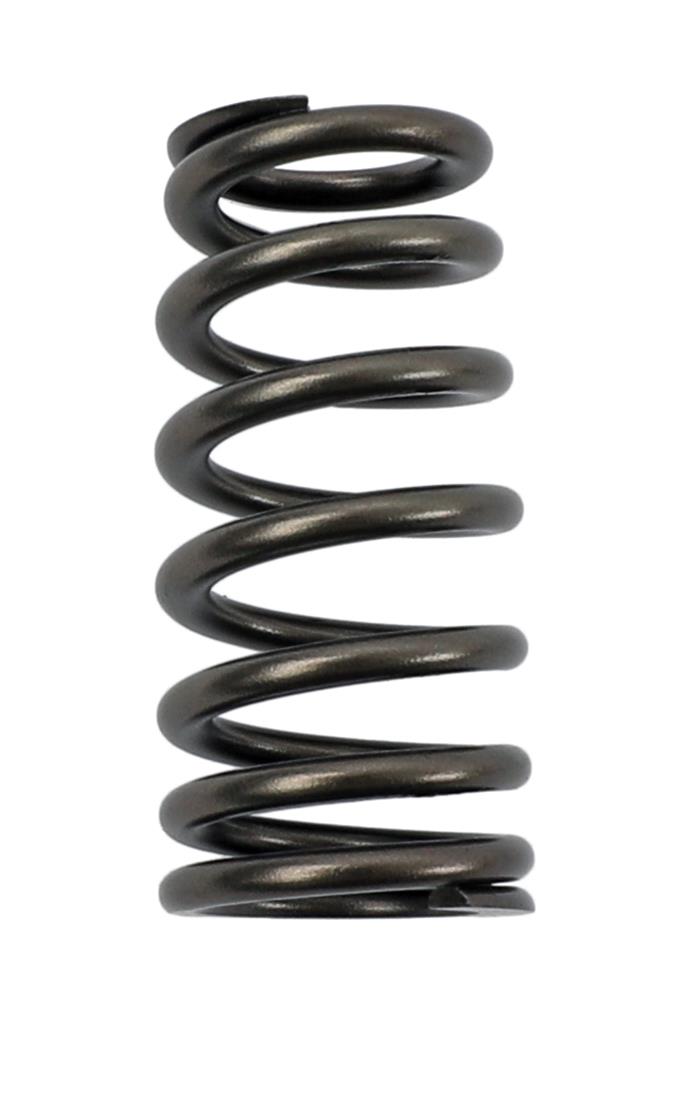 COMP Cams Valve Spring Ford 4.6L 2 Valve