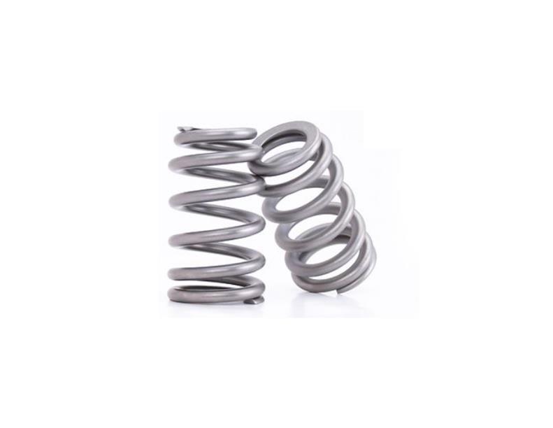 COMP Cams 26918-16 COMP Cams Valve Springs | Summit Racing