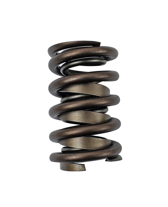 COMP Cams Valve Spring For 972-973