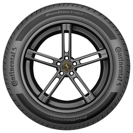 Continental Tire 15495600000 Continental ProContact TX Tires 