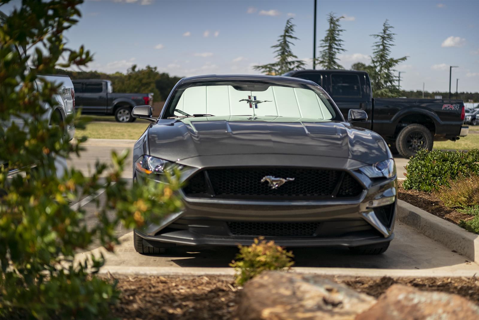 Covercraft UVS100 Premier Series Custom Sunscreen with Ford Mustang Tri-Bar logo thumbnail 4