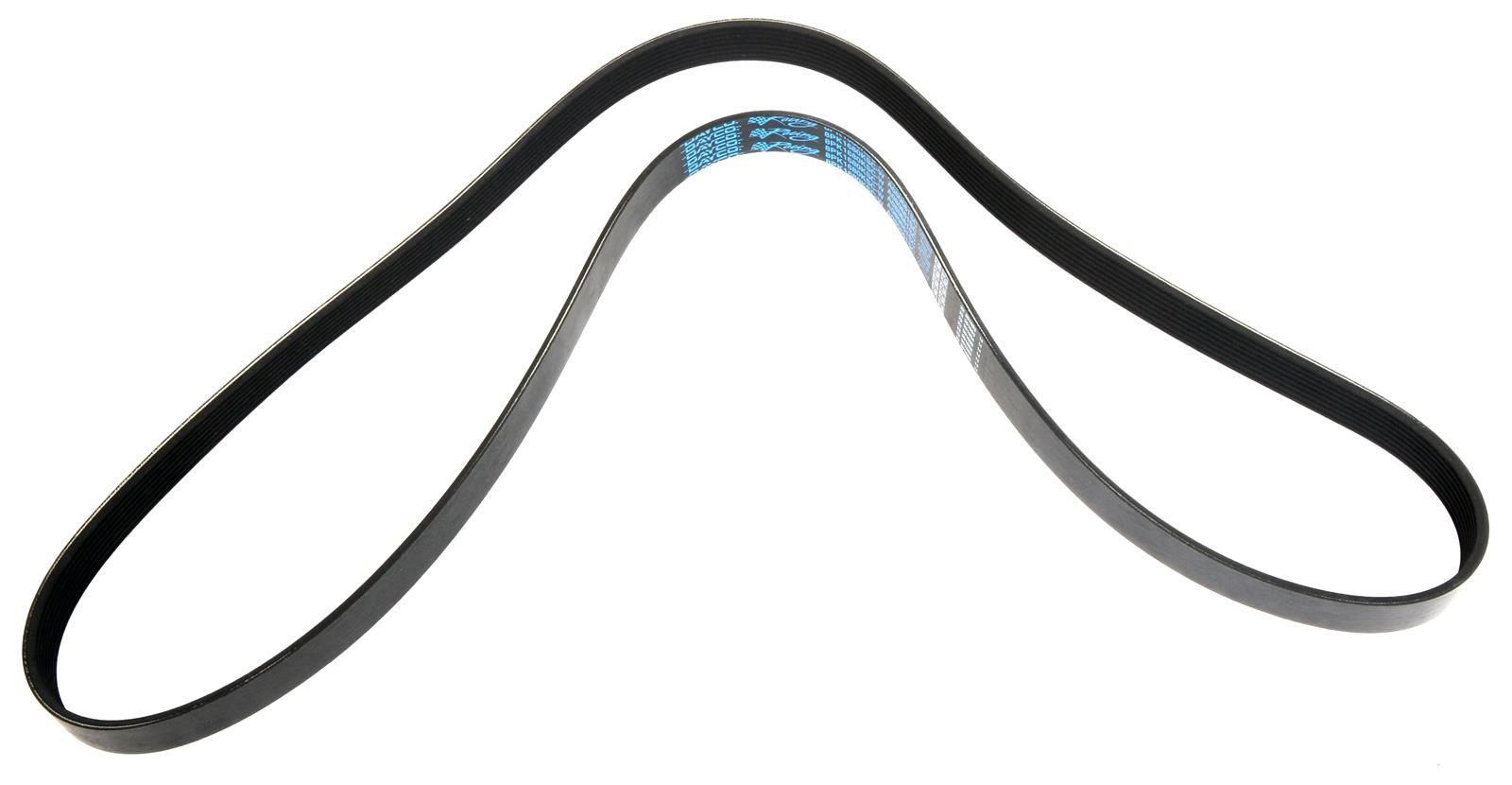 Dayco A080661SC Dayco Supercharger Belts Summit Racing