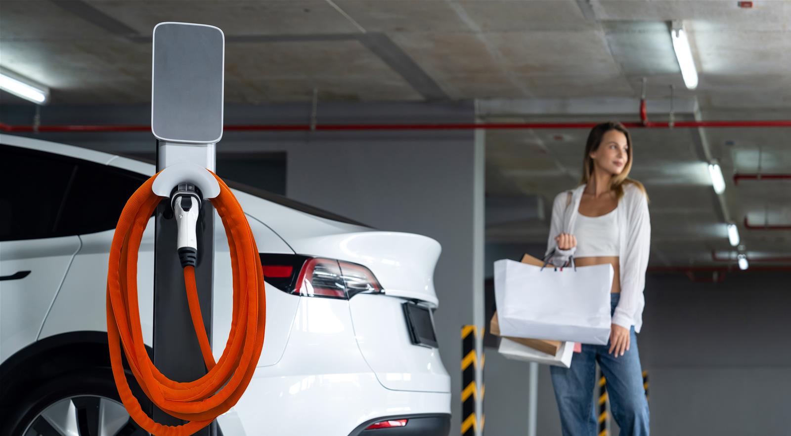 Design Engineering DEI 10680 DEI EV Charge Cord Protectors Summit Racing