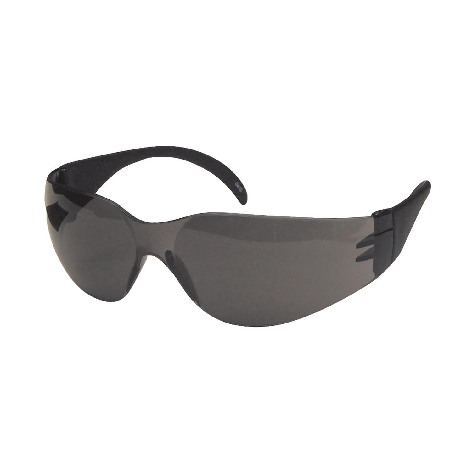 dentec safety glasses