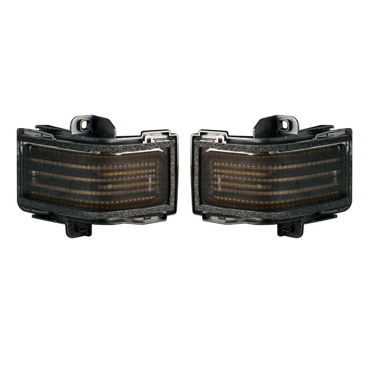 Diode Dynamics LED Accent Lights FL0036 2017 F-250 Mirror (pair) thumbnail 4