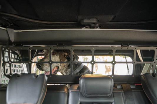DV8 Offroad 2021-2024 Ford Bronco Dog Barrier thumbnail 8
