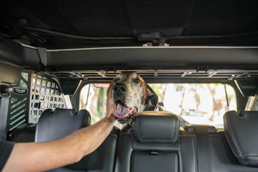 DV8 Offroad 2021-2024 Ford Bronco Dog Barrier