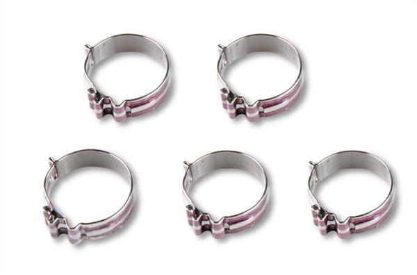 Earl's Performance Super Stock Hose Clamps 818406ERL Clamps, Stock, -6 AN, Stainless Steel, Set of 5