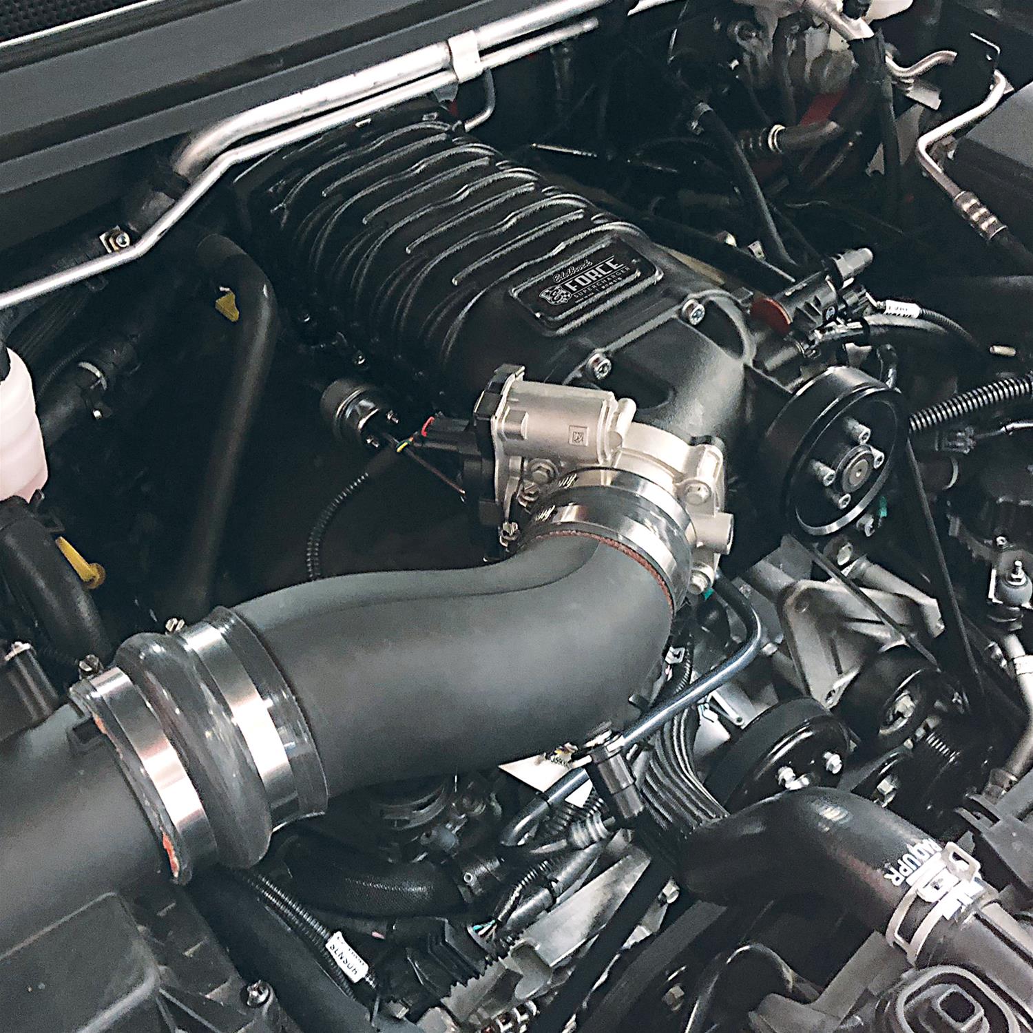 Edelbrock E-Force Colorado/Canyon Stage 1 Street Legal Supercharger Kits for 2017-2020 CANYON, COLORADO - 15180 Supercharger, Street, Eaton TVS R1740, Sepentine, Black Powdercoated, 340 HP-303 TQ, Chevy, GMC V6, without Tune, Kit thumbnail 2