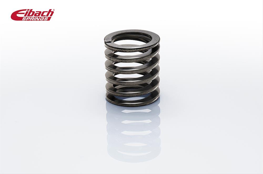 Eibach 1000.250.0600 Eibach Coilover Springs | Summit Racing Eibach 1000.250.0600 Eibach Coilover Springs | Summit Racing