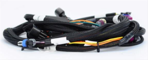 FAST GM EZ-LS Ignition Controller Kits 301312E Controller, EZ-LS, Wiring Harness, Chevy, Small Block LS, Kit