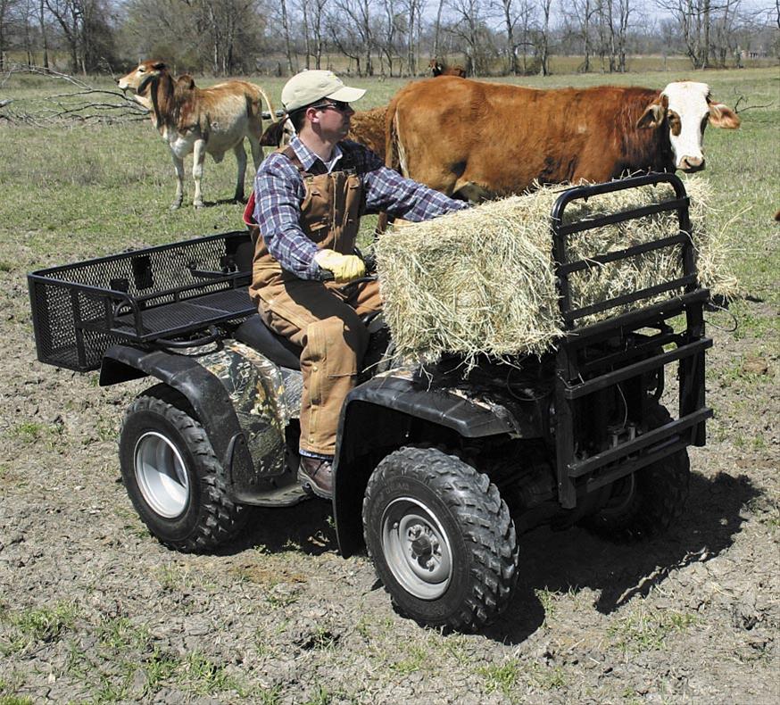 Great Day Power Loader 350 Lb Wt Cap PL250 - Premium Auto Parts