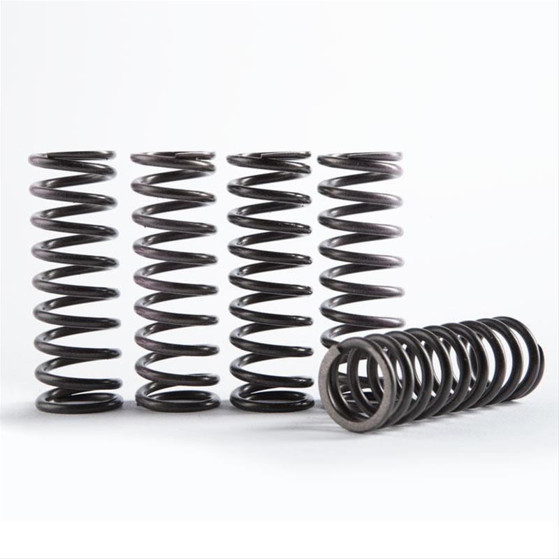 Hinson Racing CS18960613 Hinson Racing HiTemp Clutch Spring Kits