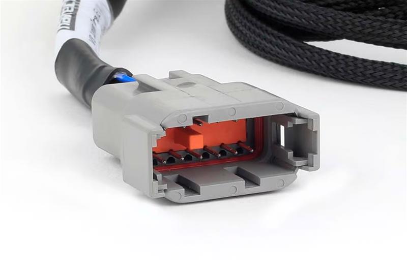 Haltech NEXUS V8 Junior Timer (EV1) Injector Primary Breakout (Plug-n-Play w/HT-186200) thumbnail 3