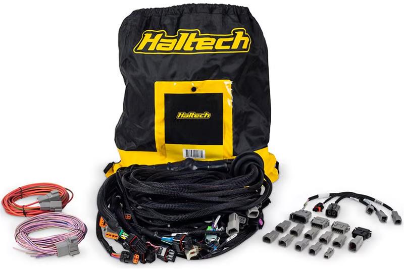 Haltech NEXUS R5 DBW Terminated Harness - DBW Ready/Injector Connector EV6 thumbnail 2