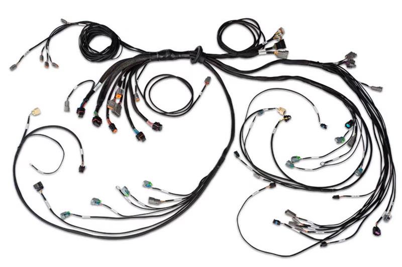 Haltech NEXUS R5 DBW Terminated Harness - DBW Ready/Injector Connector EV6