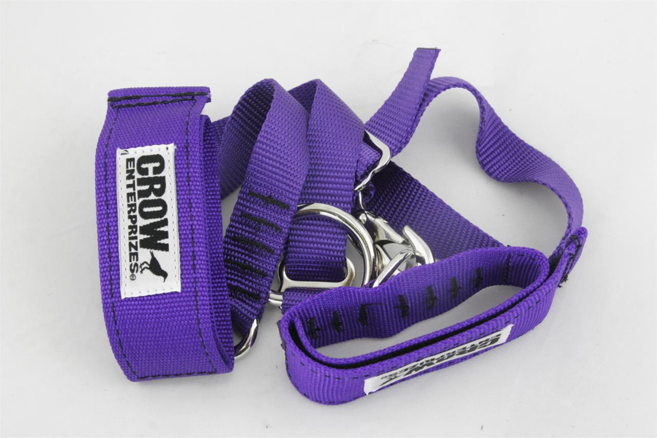 JR Race Car 99411575A2 JR Race Car Crow Arm Restraints Summit Racing