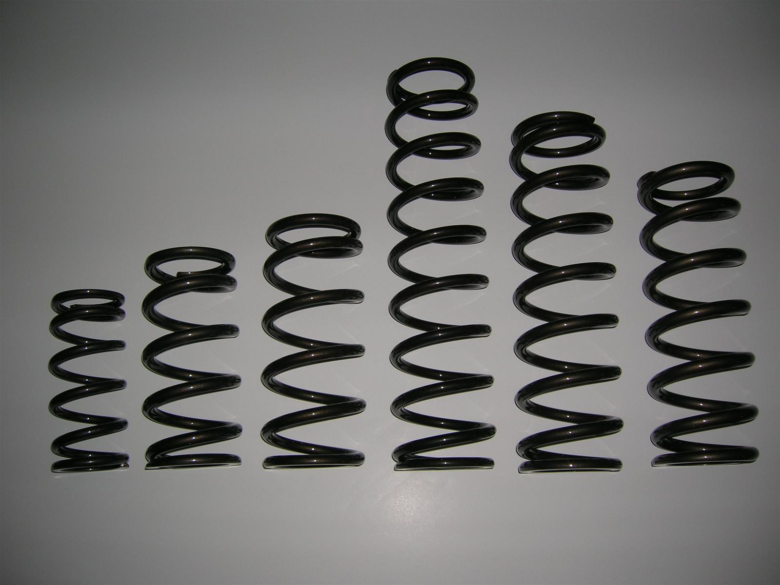 Landrum Performance Spring W15-200 Landrum Barrel Springs | Summit Racing