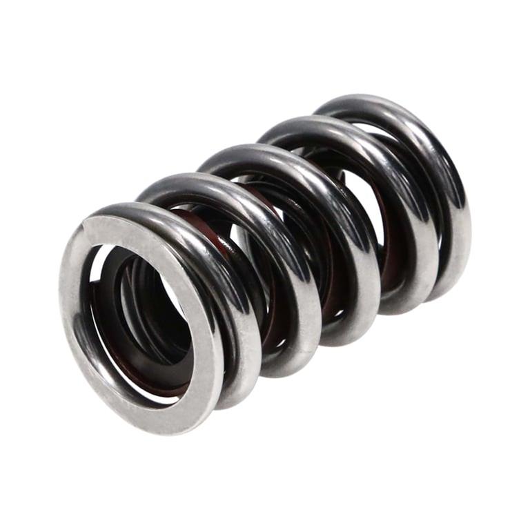 Manley Professional Valve Springs 22431-1 Springs, SPRING-1.550 CHROME SILICON