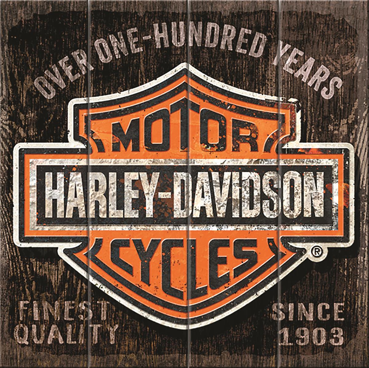 Summit Gifts W10-HARL-SHIELD Harley-Davidson Wooden Slat Sign | Summit ...