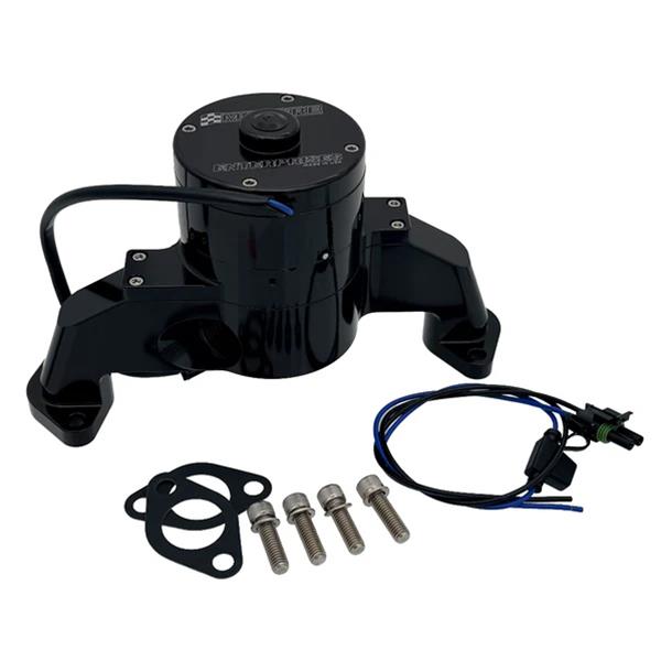 Meziere Enterprises WP100S Meziere 100 Series Electric Water Pumps