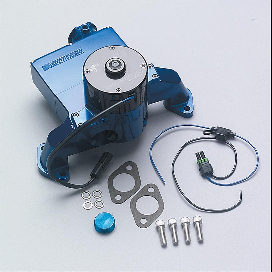 Meziere Enterprises WP200B Meziere 200 Series Electric Water Pumps ...