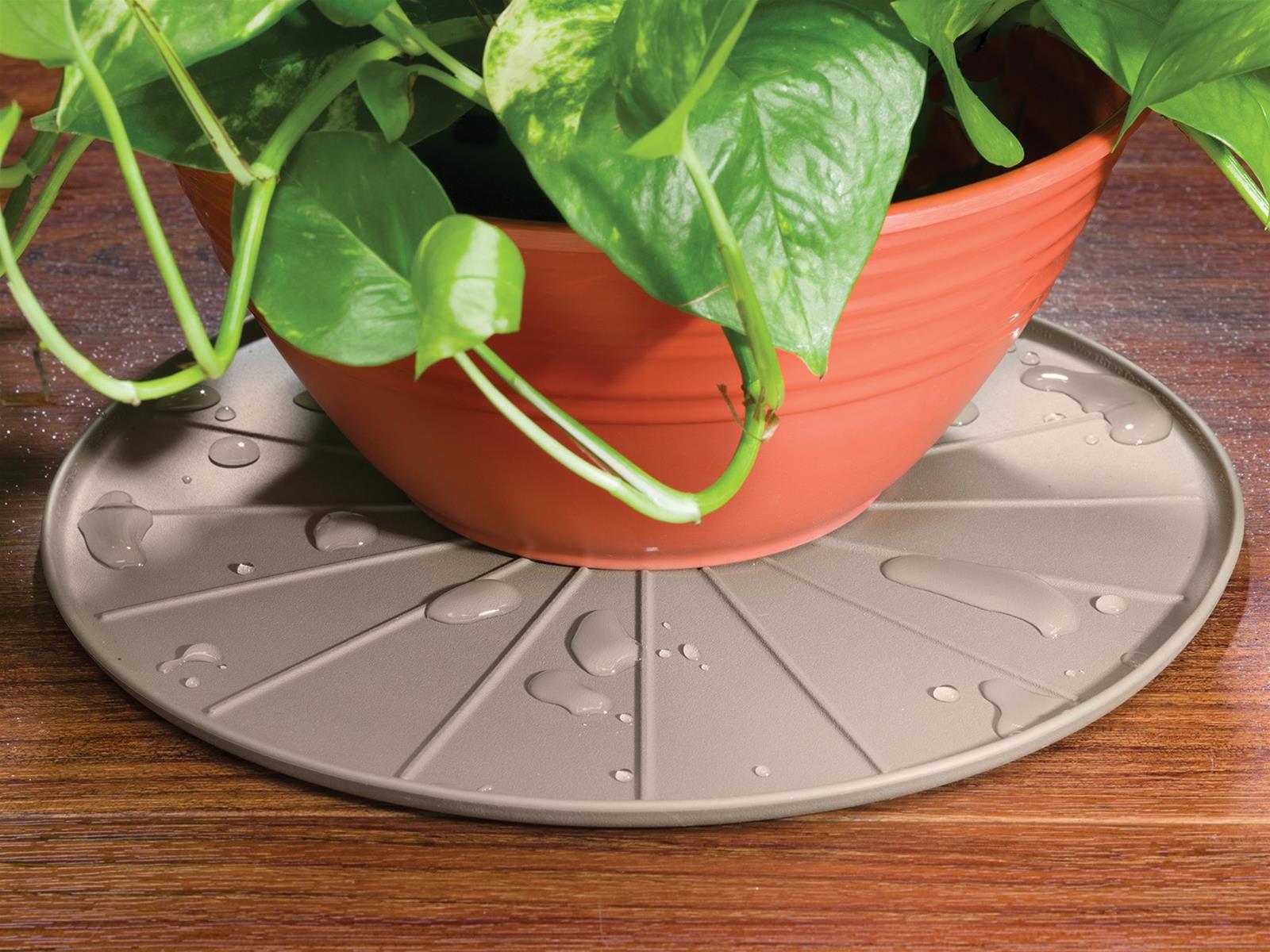 WeatherTech 8A12CSTTN WeatherTech Coasters Summit Racing