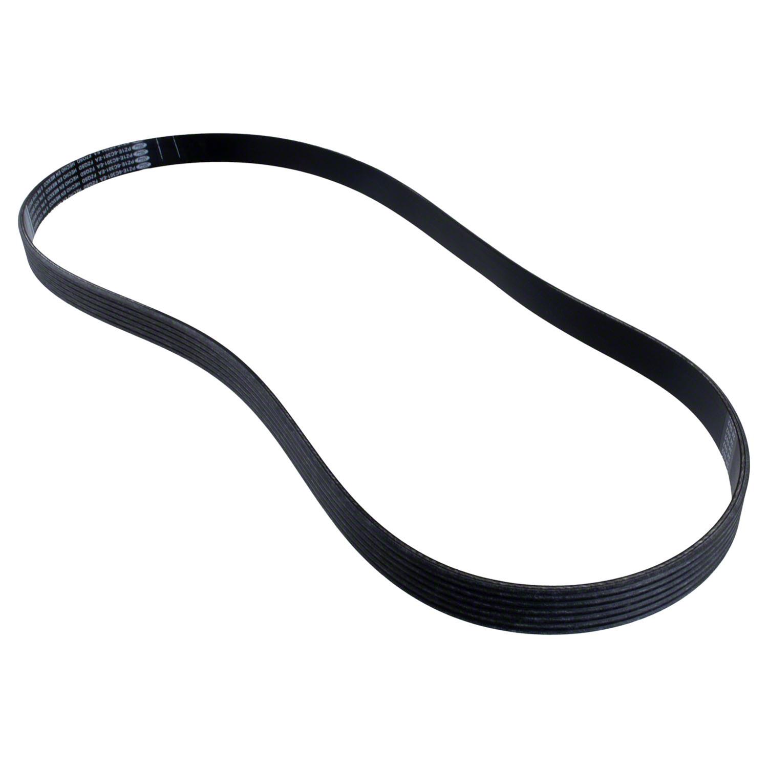 Motorcraft PZ1Z8620F Motorcraft Accessory Belts | Summit Racing