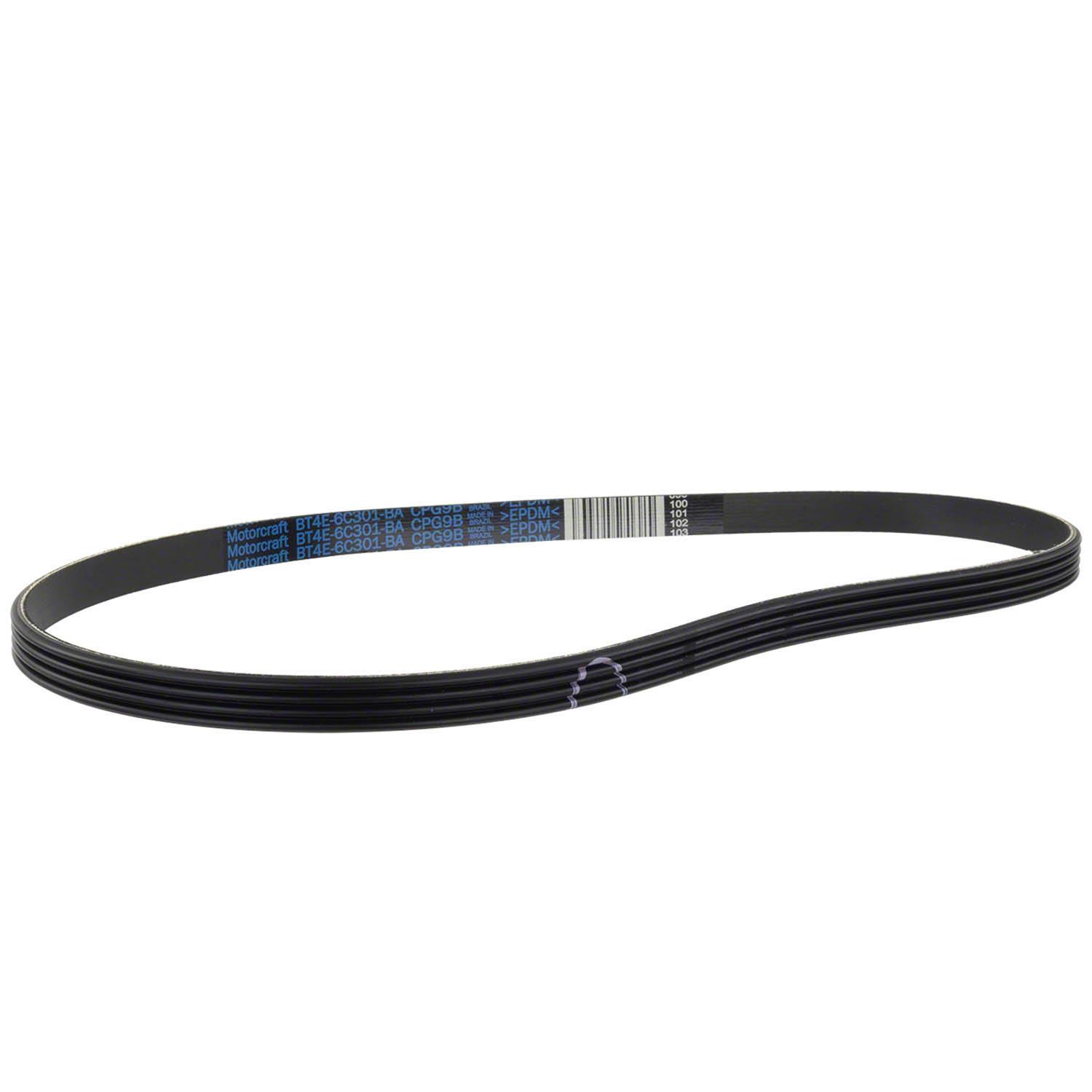 Motorcraft 7T4Z8620D Motorcraft Accessory Belts | Summit Racing