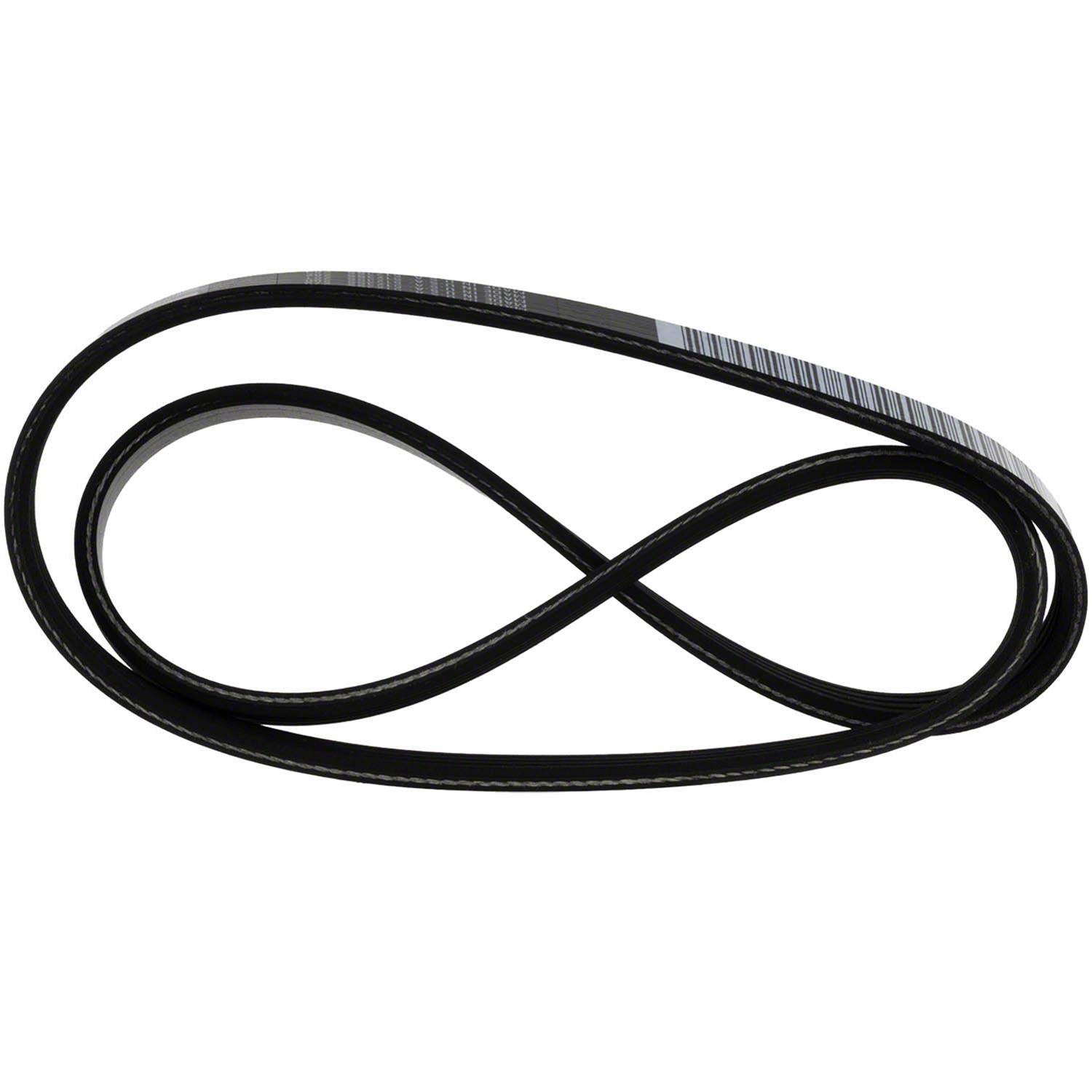 Motorcraft BR3Z8620S Motorcraft Accessory Belts | Summit Racing