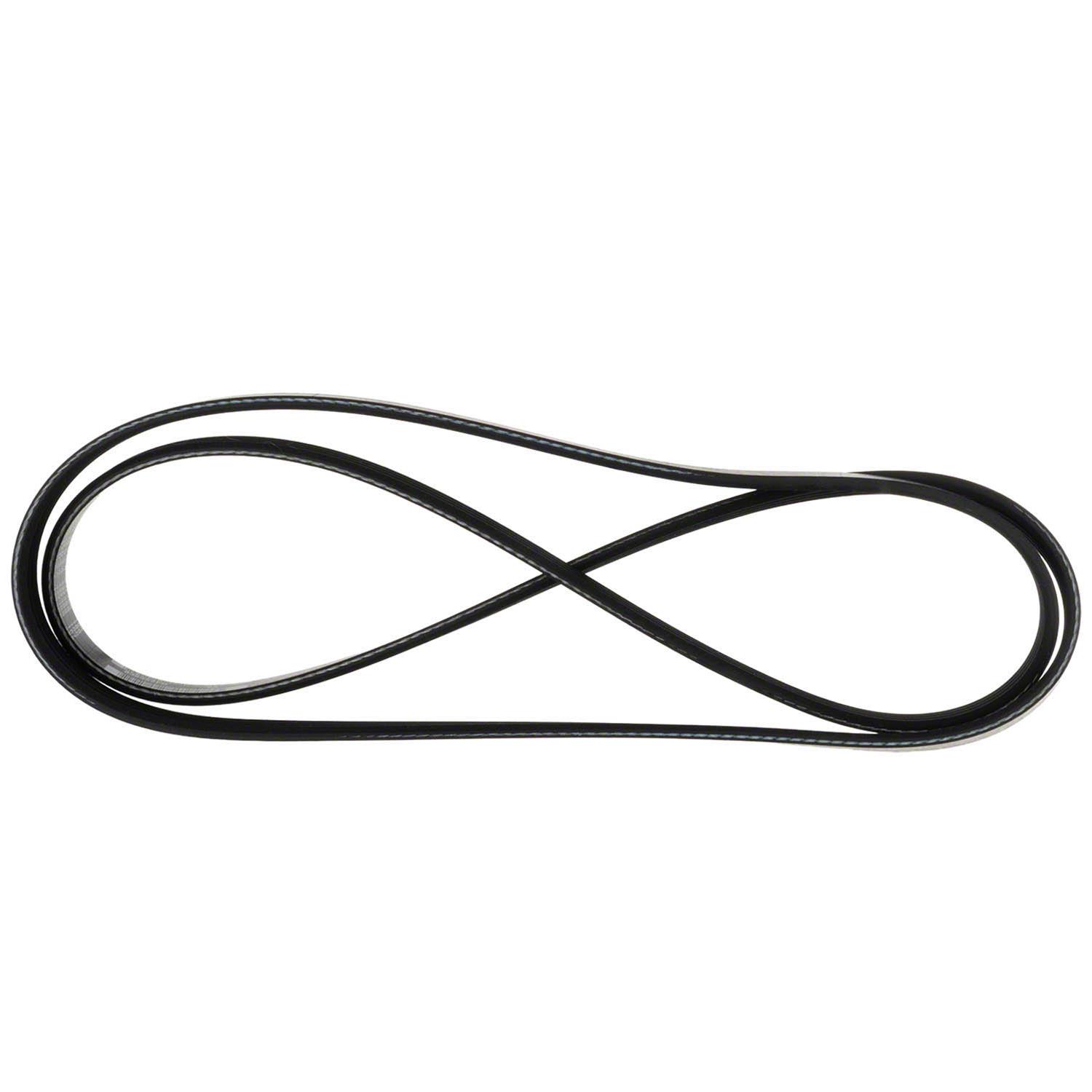 Motorcraft CV6Z8620E Motorcraft Accessory Belts | Summit Racing