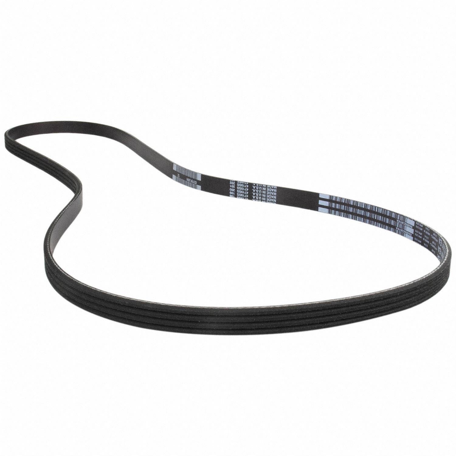 Motorcraft DA8Z8620G Motorcraft Accessory Belts | Summit Racing