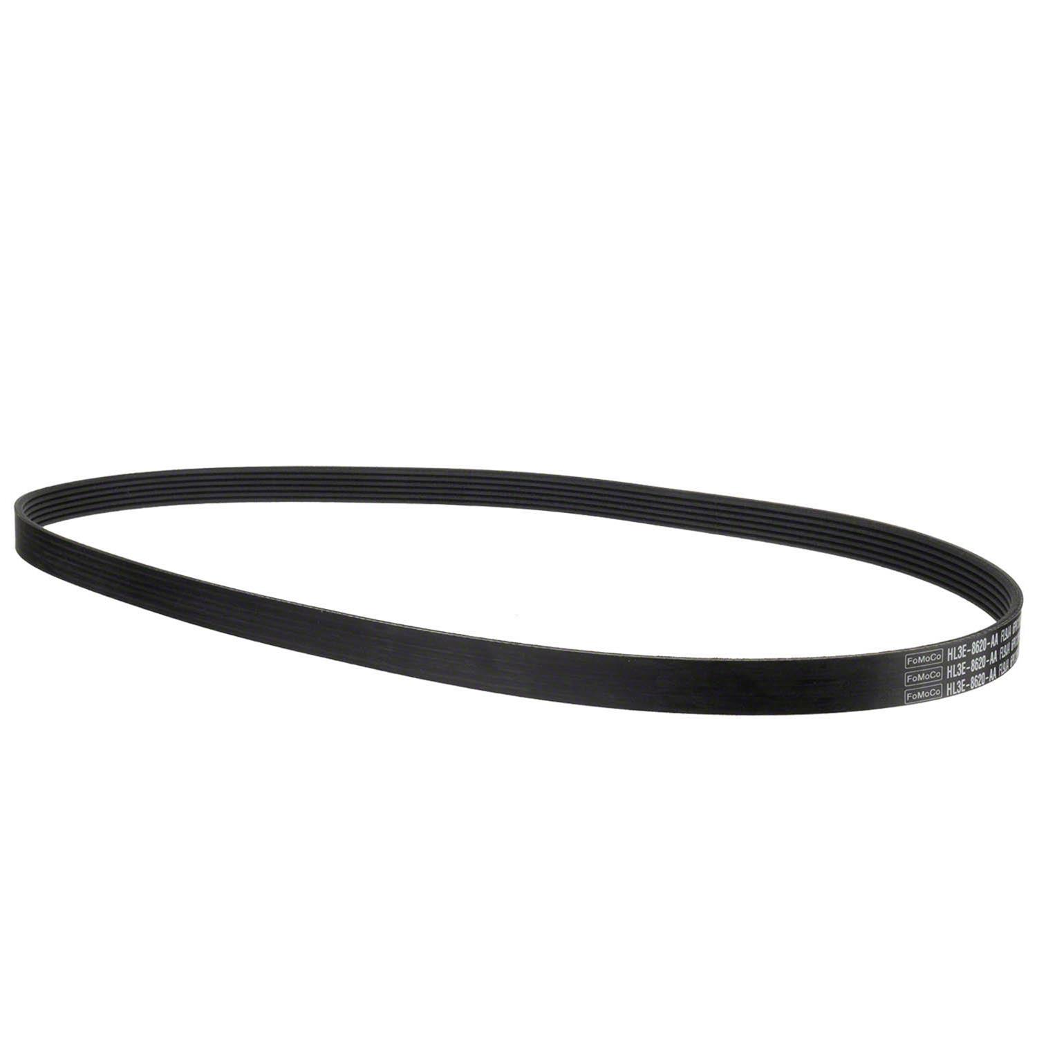Motorcraft HL3Z8620A Motorcraft Accessory Belts | Summit Racing