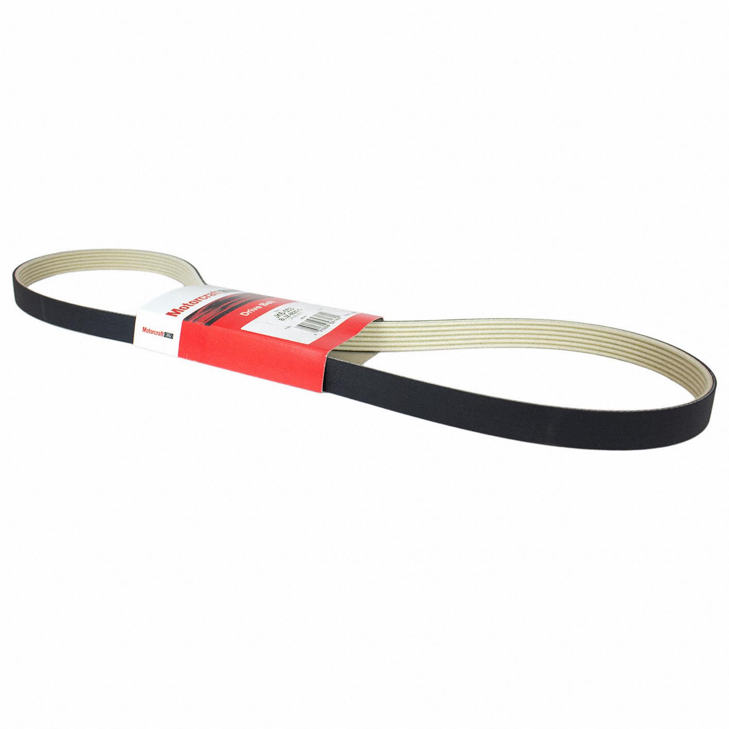 Motorcraft BL3Z8620C Motorcraft Accessory Belts | Summit Racing