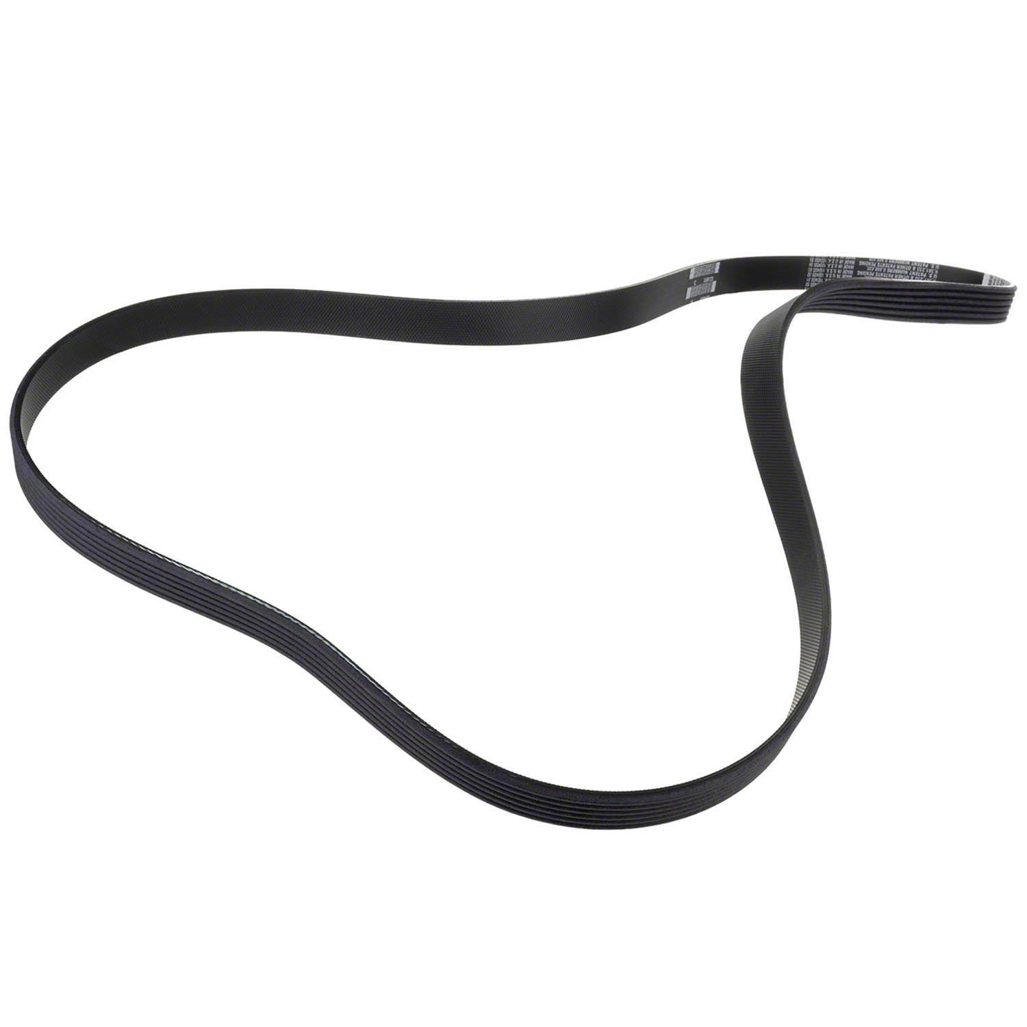 Motorcraft BL3Z8620A Motorcraft Accessory Belts | Summit Racing