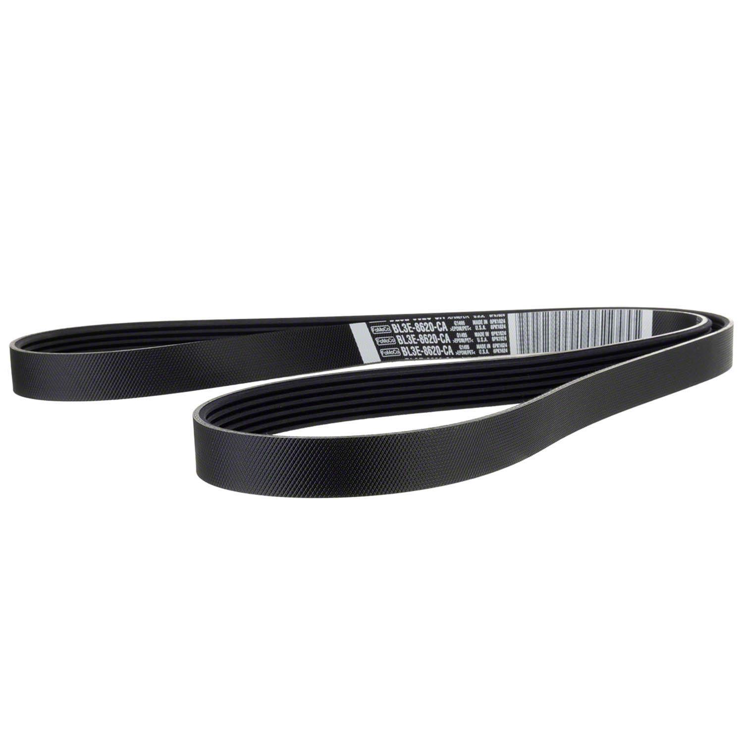 Motorcraft BL3Z8620A Motorcraft Accessory Belts | Summit Racing