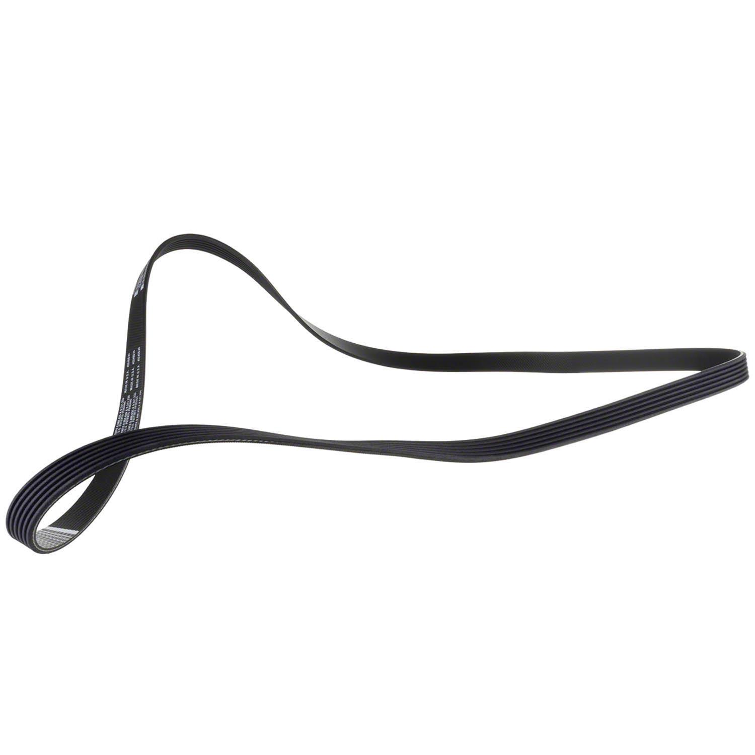 Motorcraft BL3Z8620G Motorcraft Accessory Belts | Summit Racing