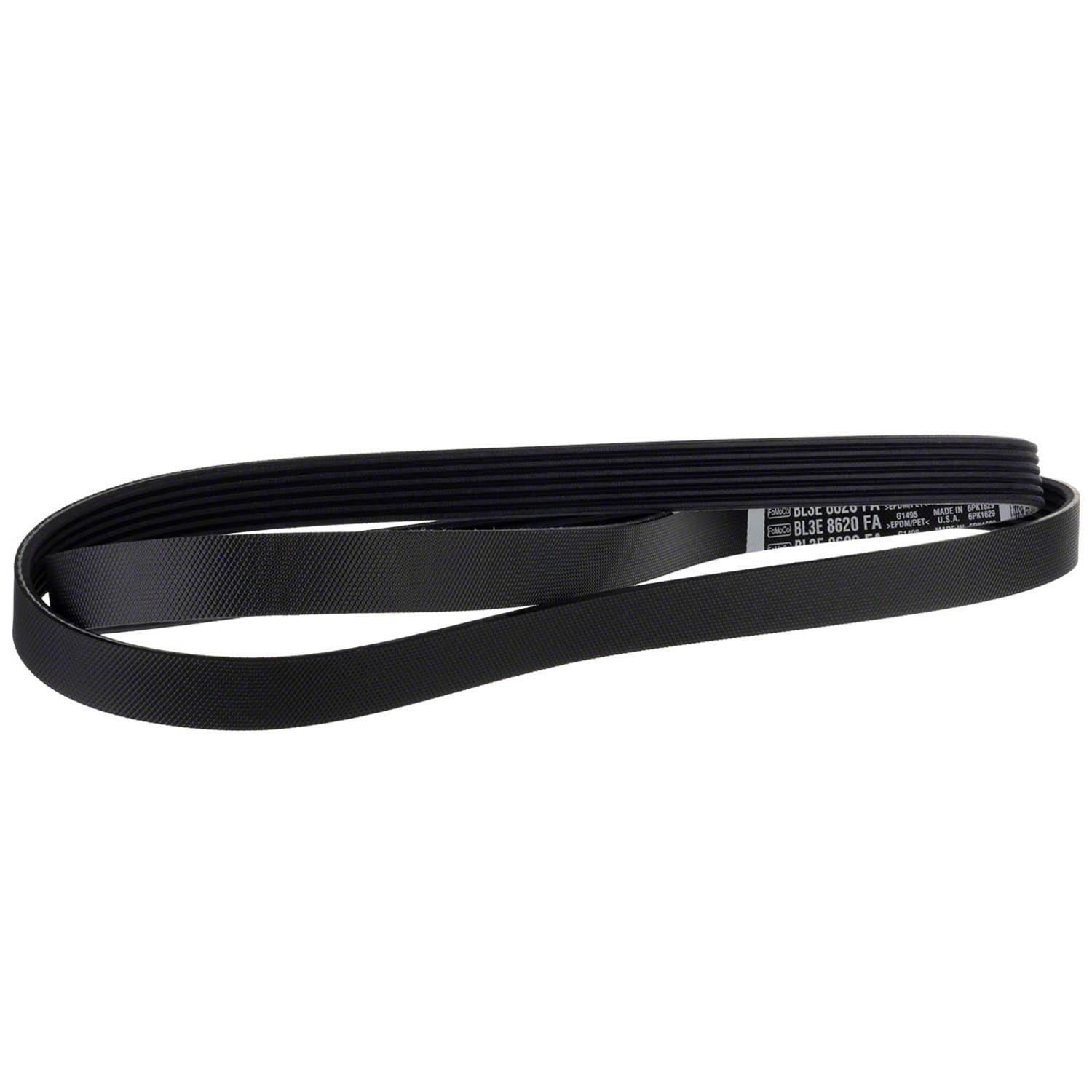 Motorcraft BL3Z8620G Motorcraft Accessory Belts | Summit Racing