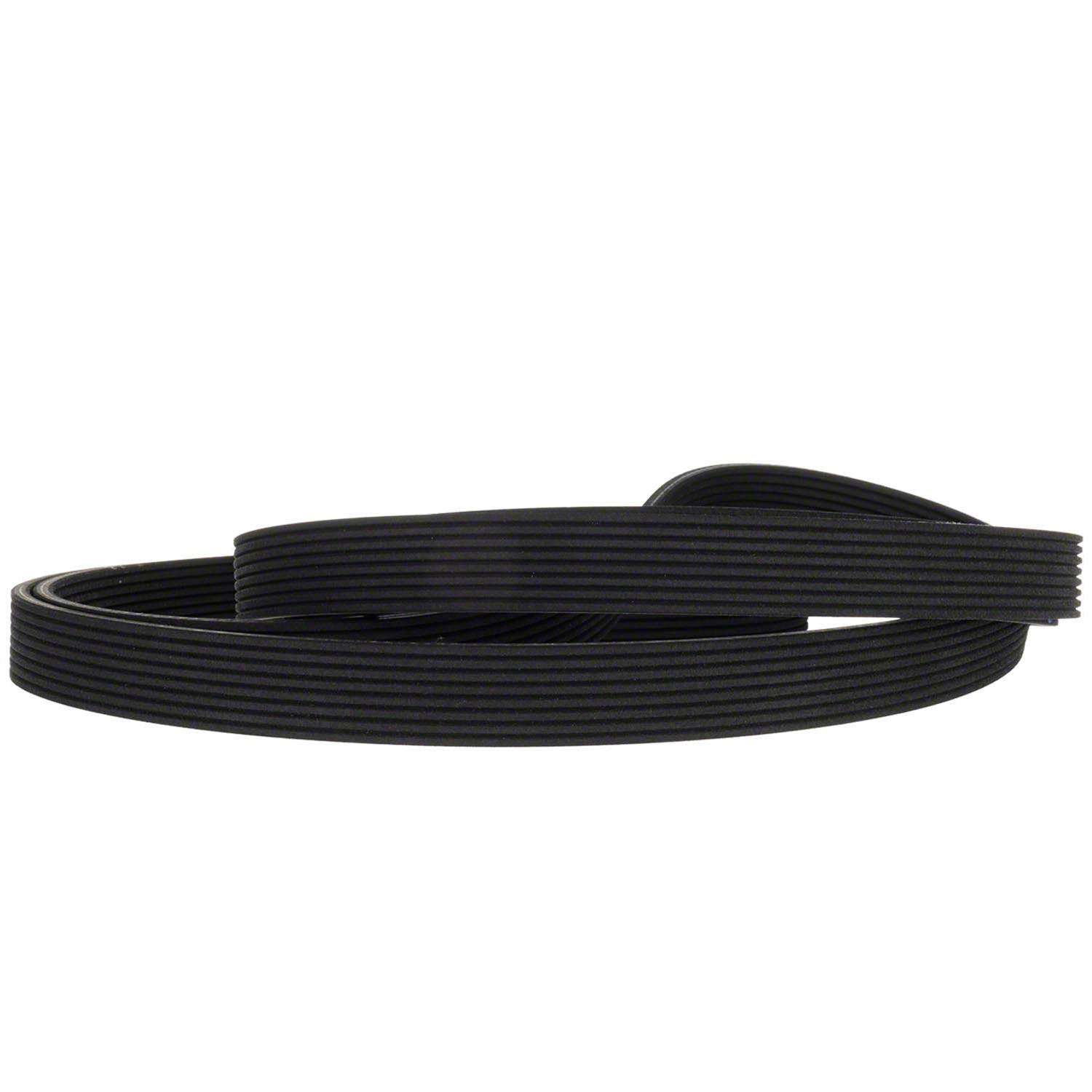 Motorcraft BC3Z8620B Motorcraft Accessory Belts | Summit Racing