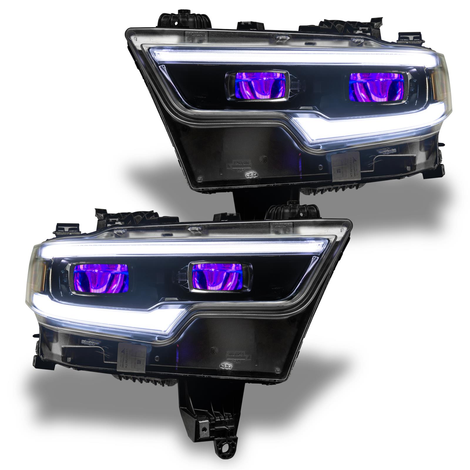 Q403 品種保証 【希少】モンステラ・キング エレクトロライト Oracle Lighting 1456-334 Oracle Demon Eye ColorSHIFT Projector